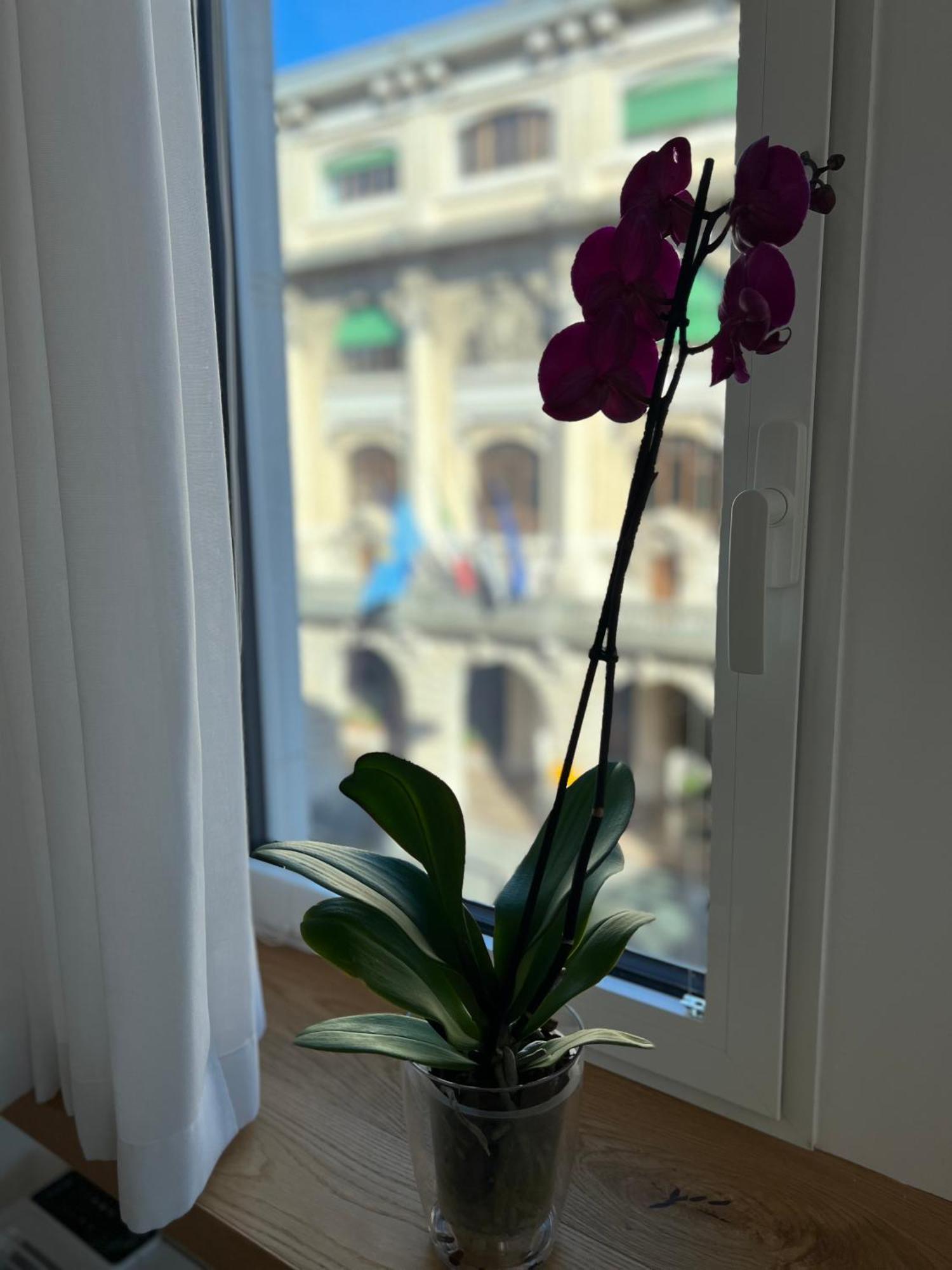 Apartament Conte Cavour Udine Zewnętrze zdjęcie